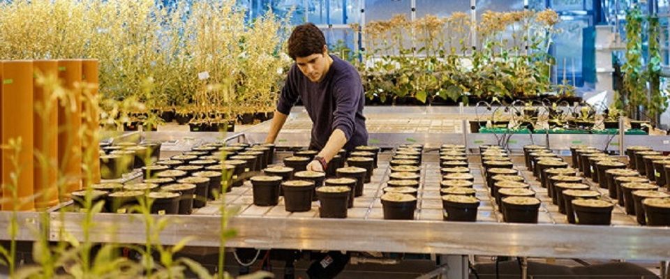 بورسیه های موسسه ماکس پلانک