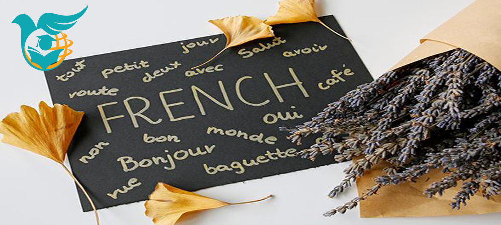 شرایط تحصیل کالج زبان در فرانسه