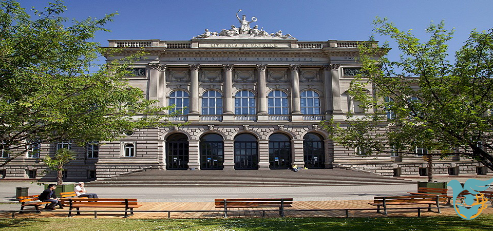 بورسیه های دانشگاه استراسبورگ فرانسه