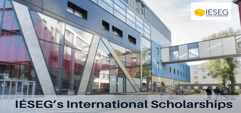 بورسیه های دانشکده مدیریت IESEG فرانسه